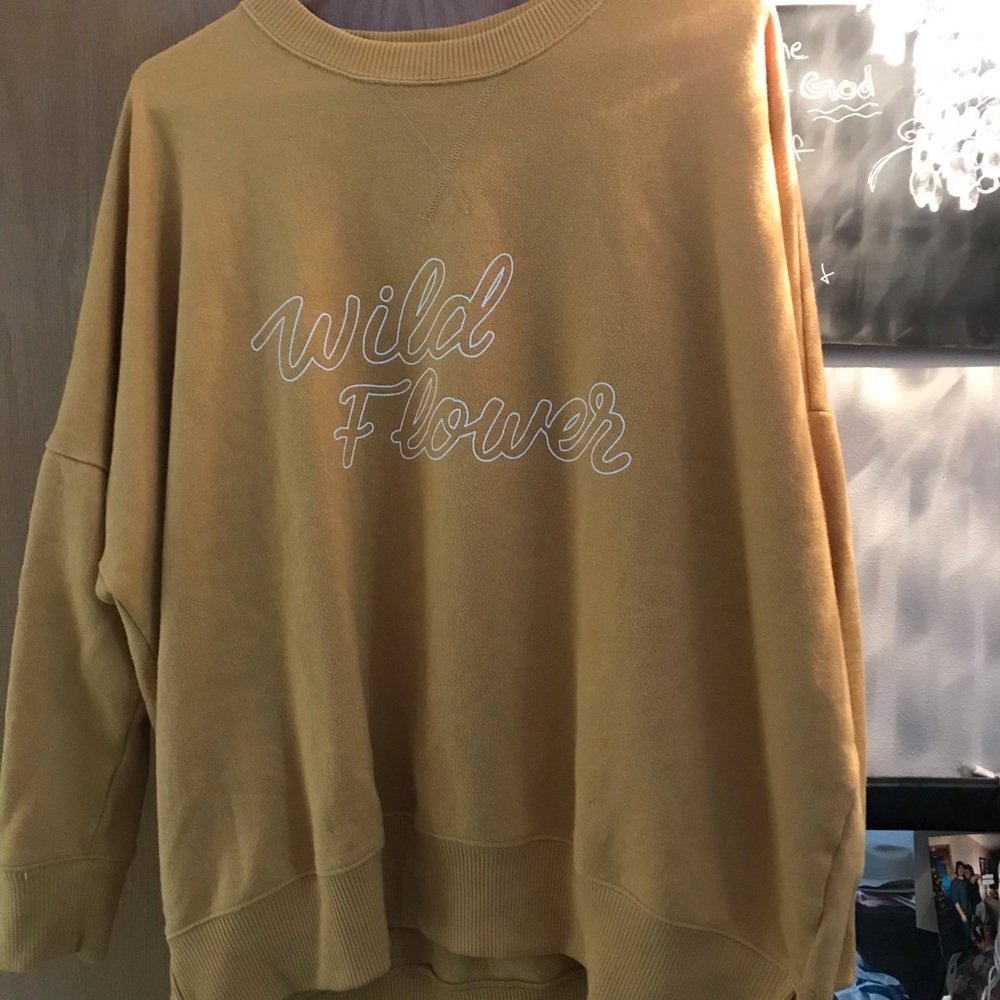 Aerie Sweatshirt